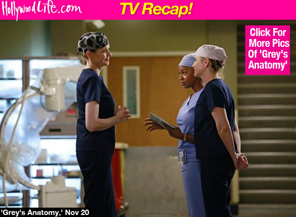 Greys Anatomy Derek Leaves