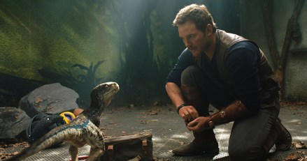 No Merchandising. Editorial Use Only. No Book Cover Usage.
Mandatory Credit: Photo by Universal Pictures/Moviestore/Shutterstock (9919172c)
Chris Pratt
Jurassic World: Fallen Kingdom - 2018