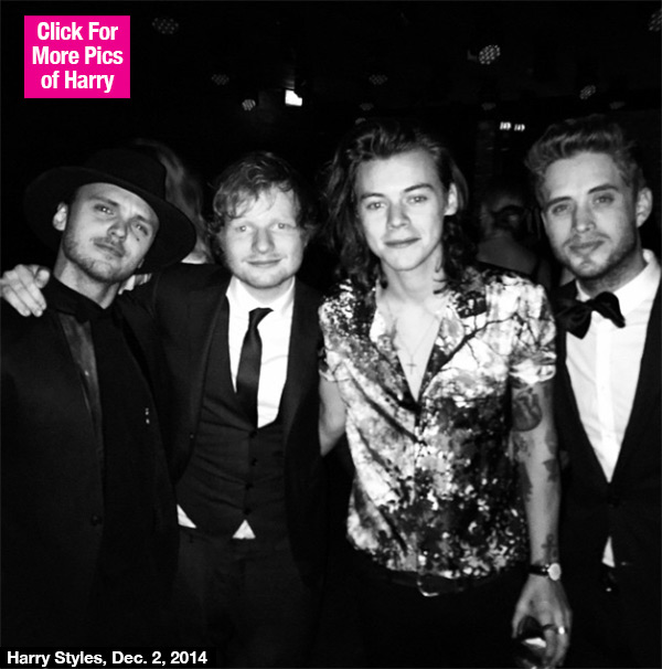 Harry Styles Ed Sheeran Party