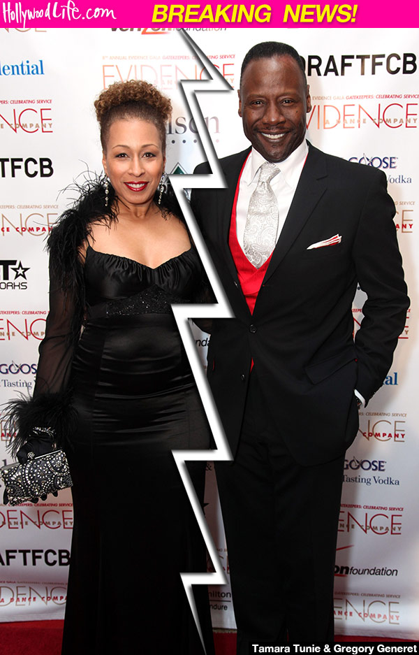 Tamara Tunie Divorce
