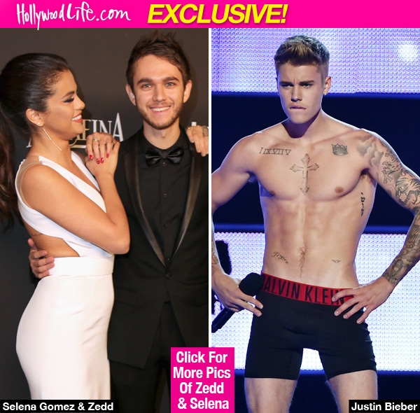 Selena Gomez Zedd Sex Life
