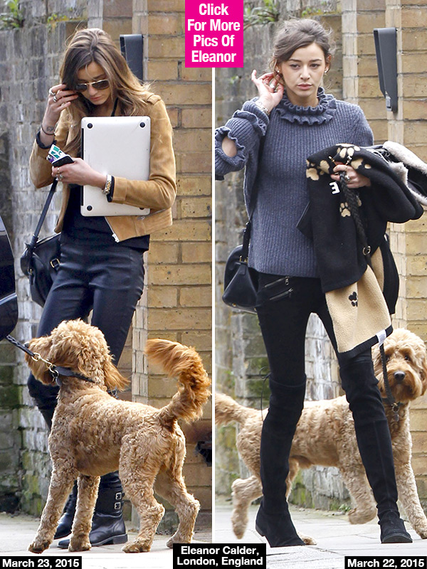 Eleanor Calder Break Up Louis Tomlinson