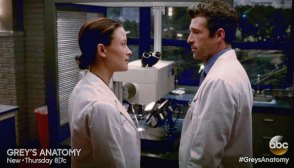 Grey's Anatomy Derek Cheated