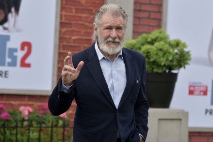 Harrison Ford attends the LA Premiere of "The Secret Life of Pets 2" at the Regency Village Theatre, in Los Angeles
LA Premiere of "The Secret Life of Pets 2", Los Angeles, USA - 02 Jun 2019