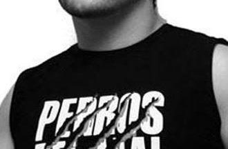 Perro Aguayo Jr