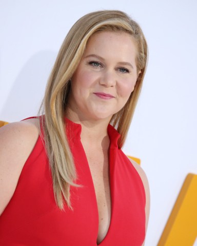 Amy Schumer
'I Feel Pretty' film premiere, Arrivals, Los Angeles, USA - 17 Apr 2018