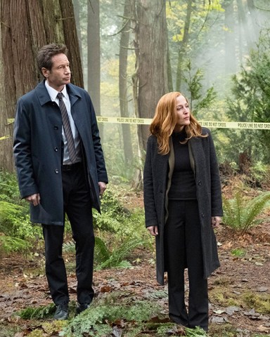 Editorial use only. No book cover usage.Mandatory Credit: Photo by 20th Century Fox/Kobal/Shutterstock (9635485b)David Duchovny, Gillian Anderson"The X-Files" (Season 11) TV Series - 2018