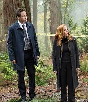 David Duchovny, Gillian Anderson