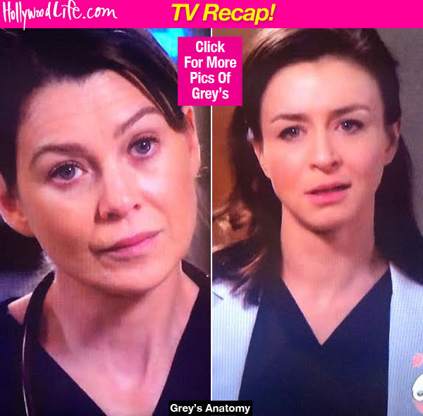 Grey's Anatomy Meredith Amelia Fight