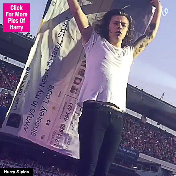 Louis Tomlinson Harry Styles Larry Tweet
