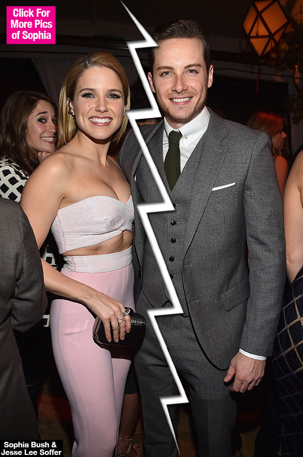 Jesse Lee Soffer Sophia Bush Break Up