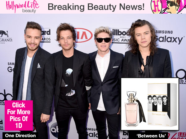 One Direction Between Us
