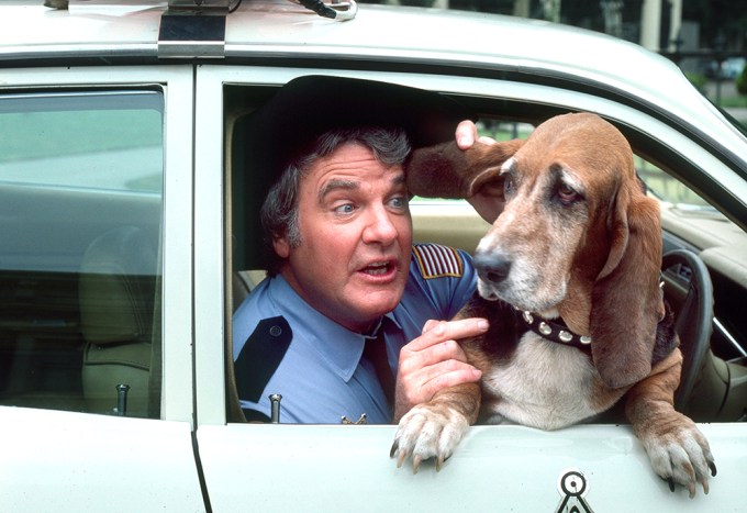 James Best As Sheriff Rosco P. Coltrane