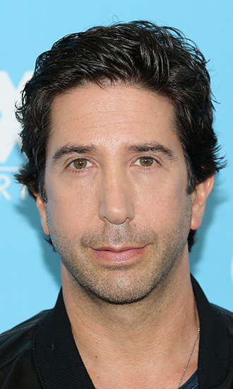 David Schwimmer Celebrity Profile