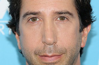 David Schwimmer Celebrity Profile