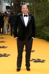 Vin Diesel poses for photographers upon arrival at the 'Lion King' European premiere in central London
Lion King Premiere, Glastonbury, United Kingdom - 14 Jul 2019