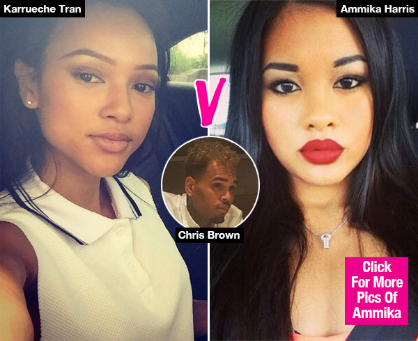 ammika harris karrueche tran look alike