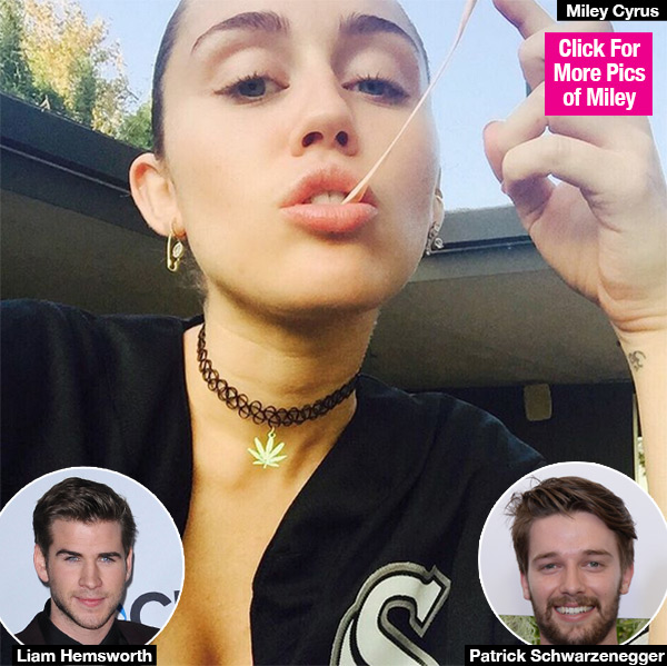 miley cyrus bb talk