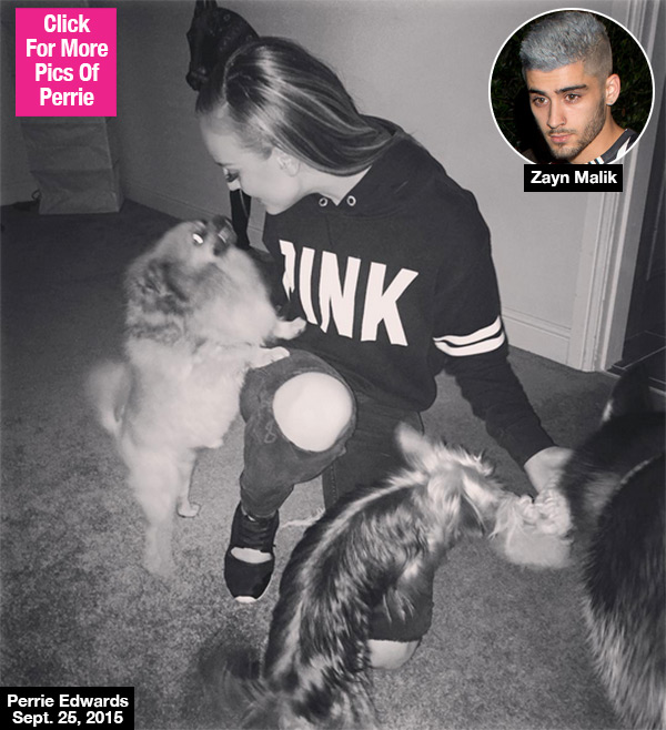 Perrie Edwards Dogs