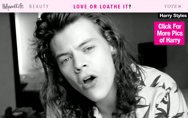 Harry Styles Perfect Hair