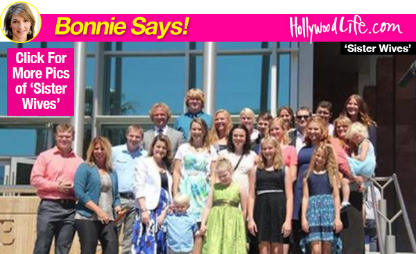 sister wives judge approves adoption