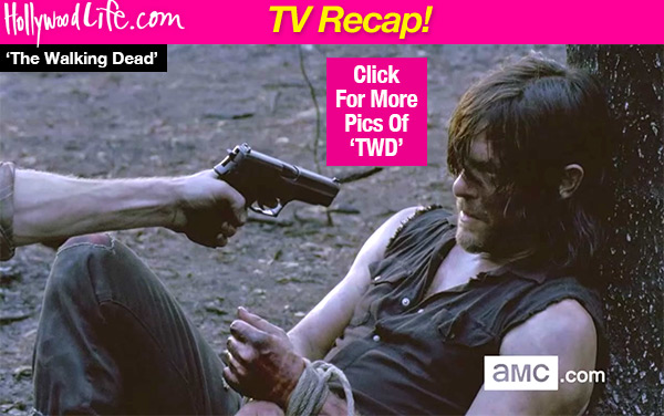 The Walking Dead Daryl Kidnapped
