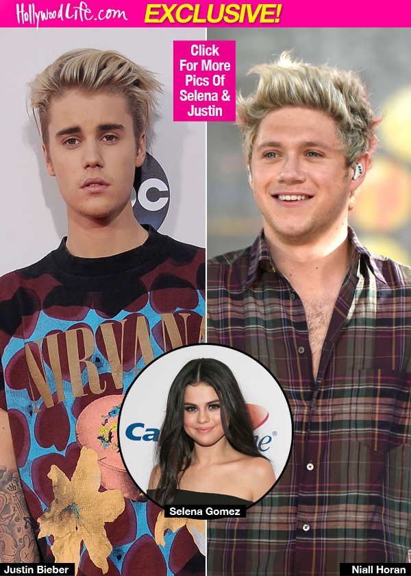 Justin Bieber Hurt Niall Horan