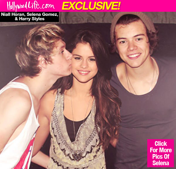 Harry Styles Niall Horan Selena Gomez Relationship
