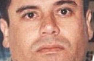 El Chapo Celebrity Profile