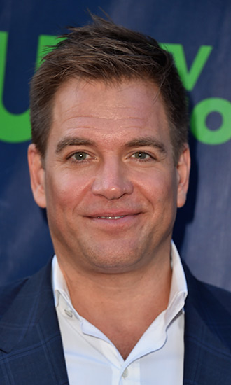 Michael Weatherly Celebrity Profile