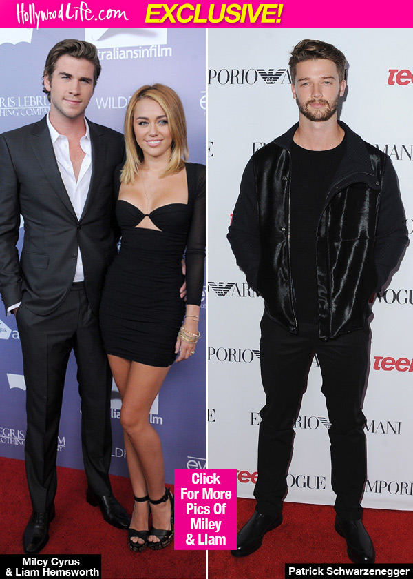 Miley Cyrus Liam Hemsworth Reunited