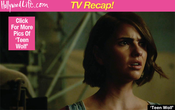 Teen Wolf Malia Desert Wolf Fight