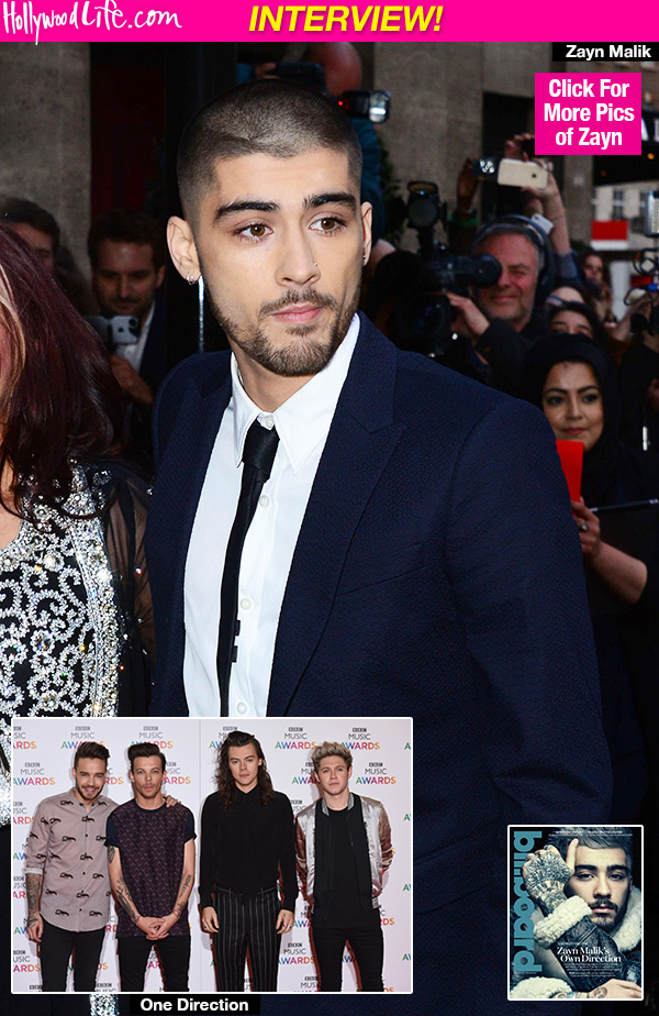 Zayn Malik One Direction New Album