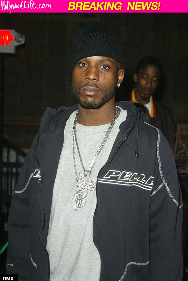 DMX Collapses