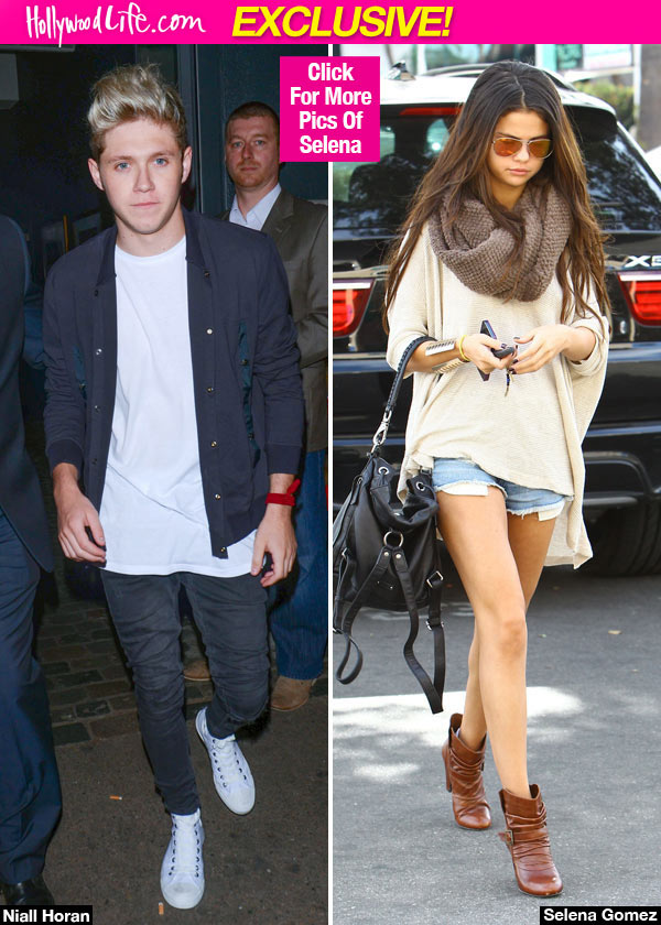 Selena Gomez Niall Horan Broke Up