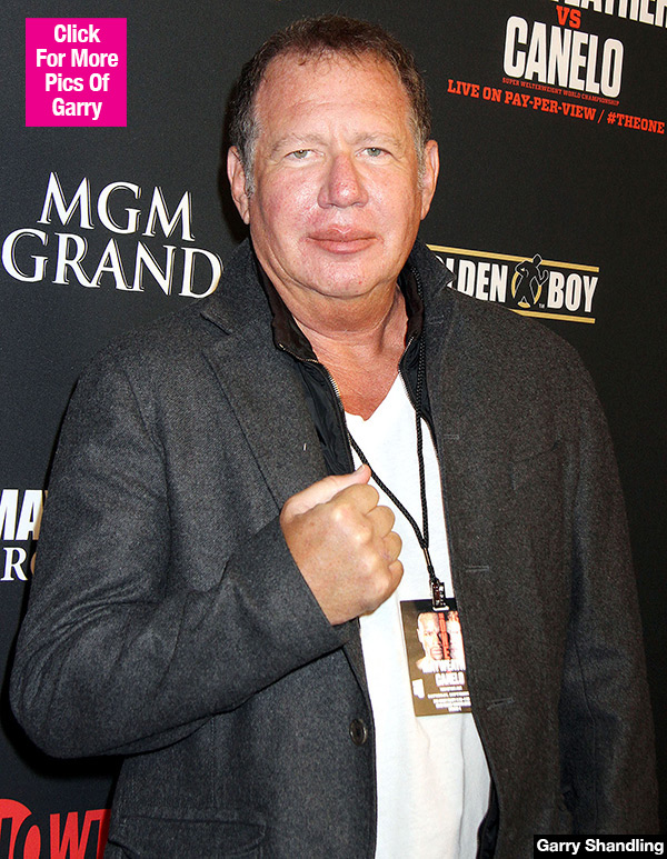 Garry Shandling Final Moments