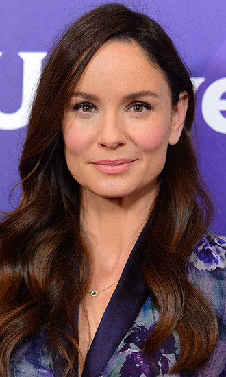Sarah Wayne Callies Celebrity Bio