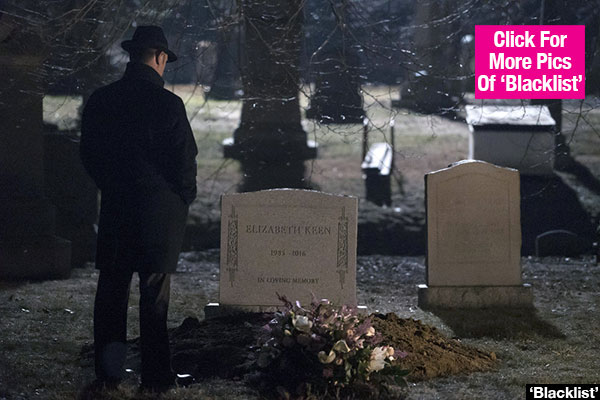 The Blacklist Liz Alive