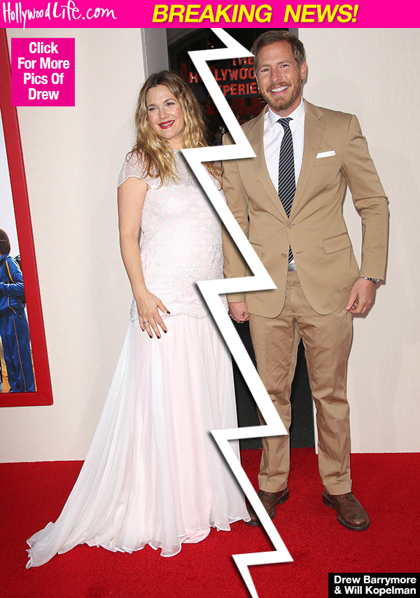 Will Kopelman Drew Barrymore Split