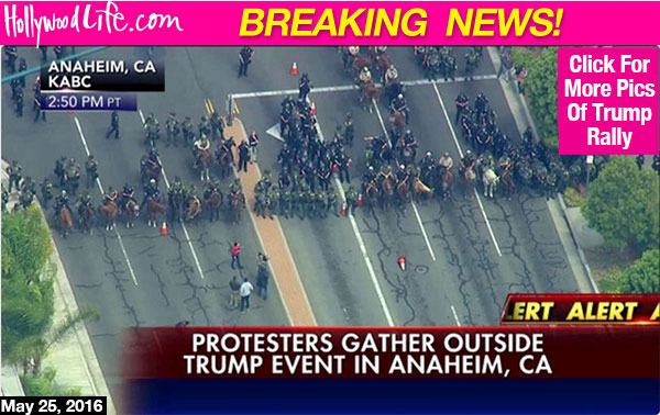 Donald Trump Anaheim Rally