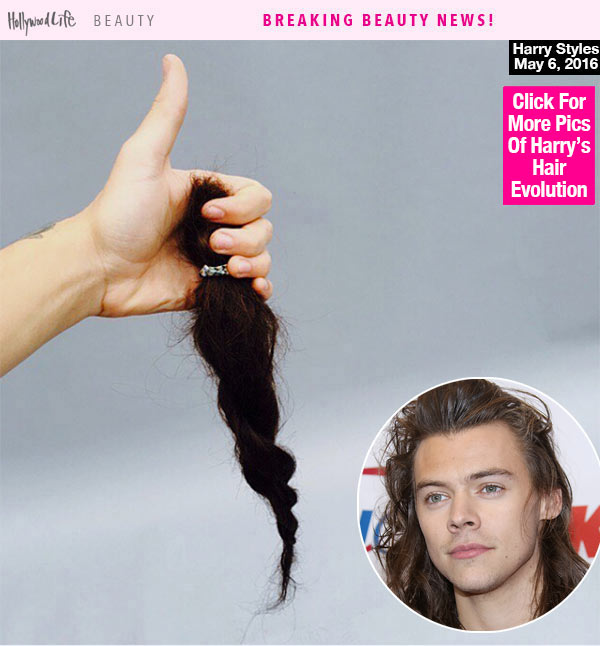Harry Styles Short Hair