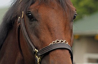 Nyquist Celebrity Profile