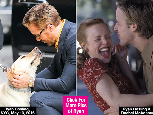 Ryan Gosling Dog