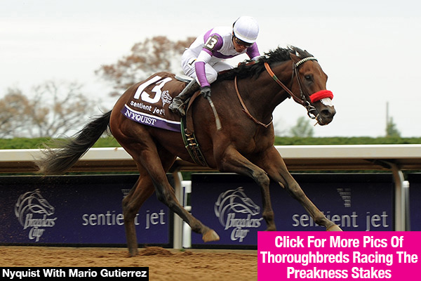 When Is Preakness Stakes?