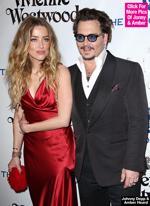 Johnny Depp Amber Heard Baby