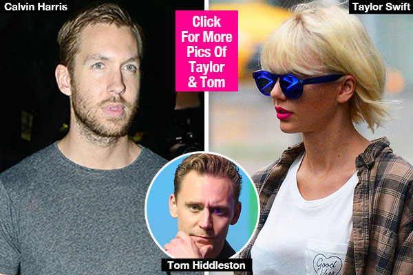 Calvin Harris Questions Taylor Swift