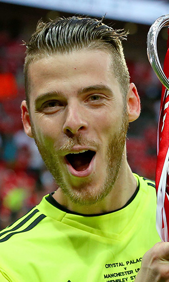 David de Gea Bio Pic