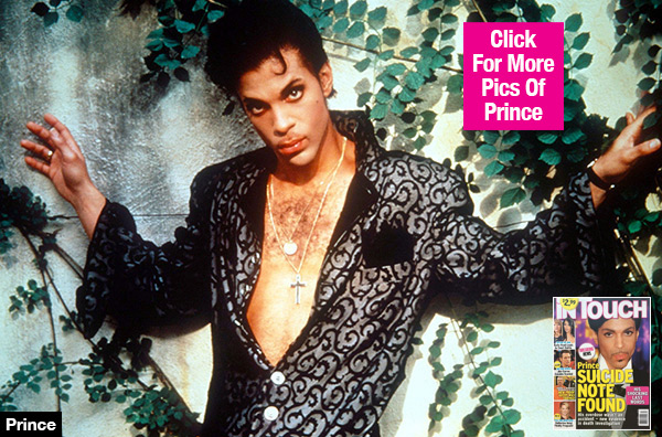 Did Prince Commit Suicide
