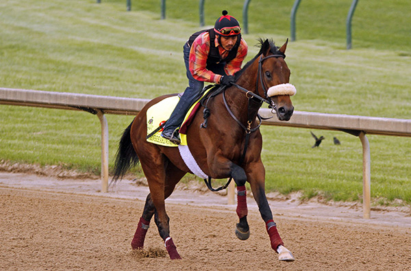 Belmont Stakes 2016 Horses