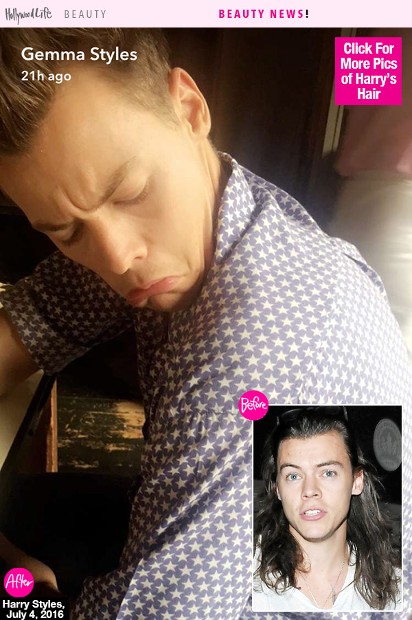Harry Styles Hair Snapchat